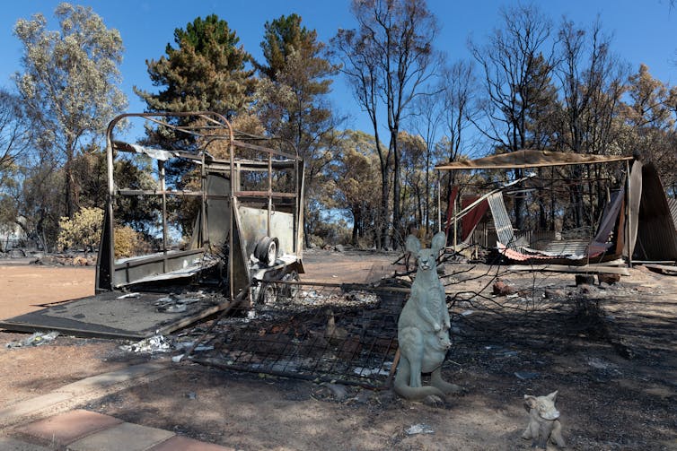 A large kangaroo shaped garden ornament in front of a burnt out horse float and house.
